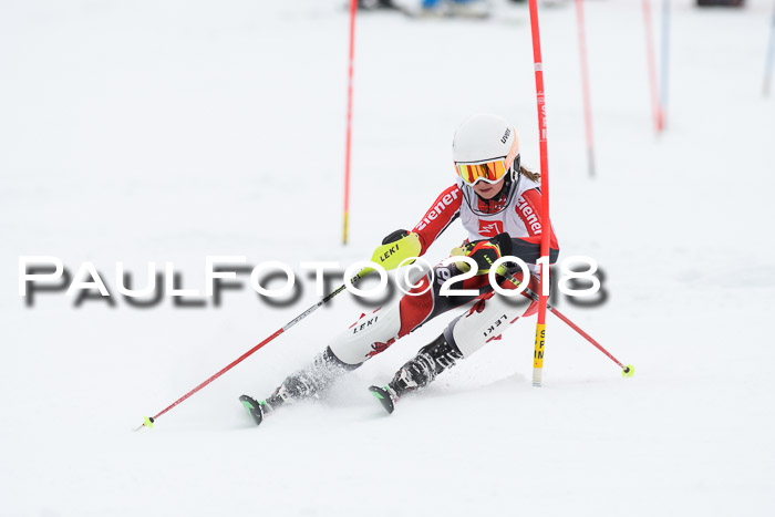 5. BZB CUP SL; WFM 2018