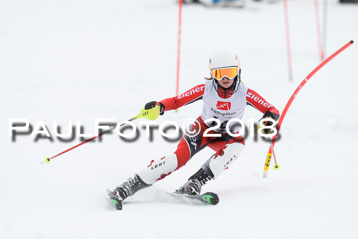 5. BZB CUP SL; WFM 2018