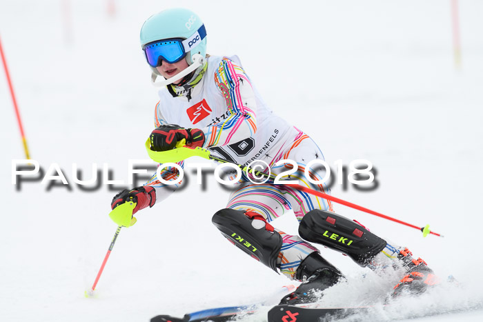 5. BZB CUP SL; WFM 2018