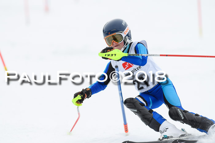 5. BZB CUP SL; WFM 2018
