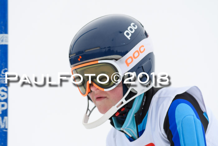 5. BZB CUP SL; WFM 2018