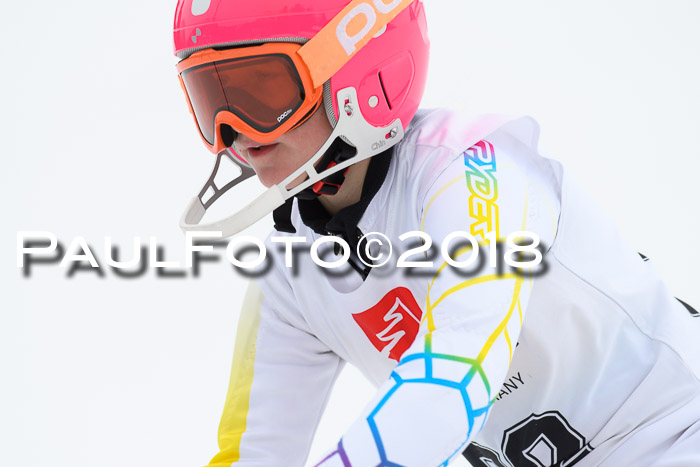 5. BZB CUP SL; WFM 2018