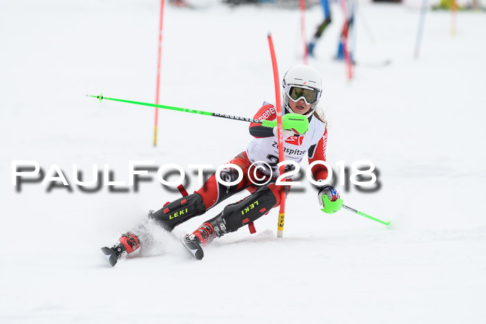 5. BZB CUP SL; WFM 2018
