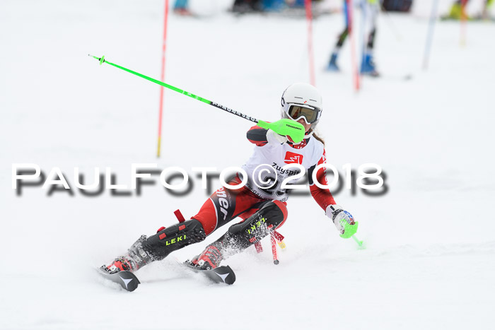 5. BZB CUP SL; WFM 2018
