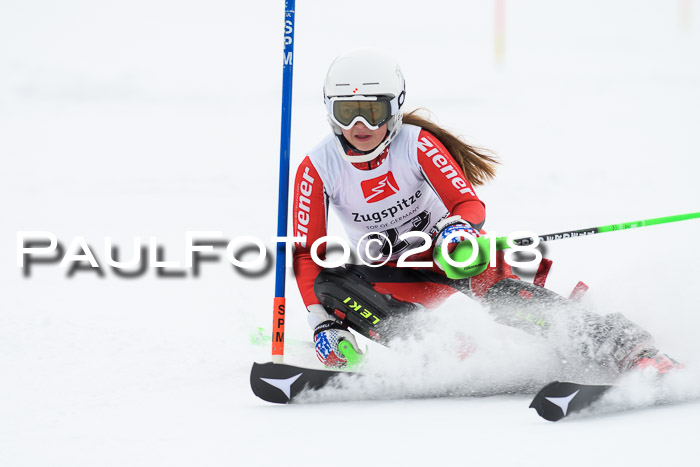 5. BZB CUP SL; WFM 2018
