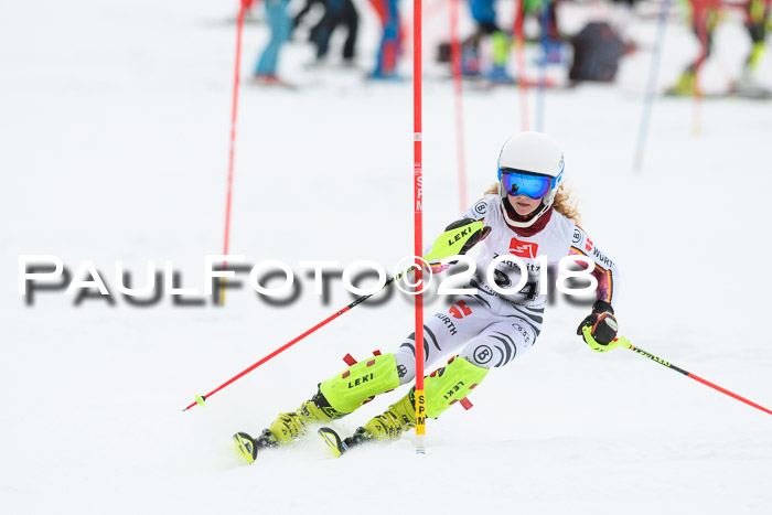 5. BZB CUP SL; WFM 2018