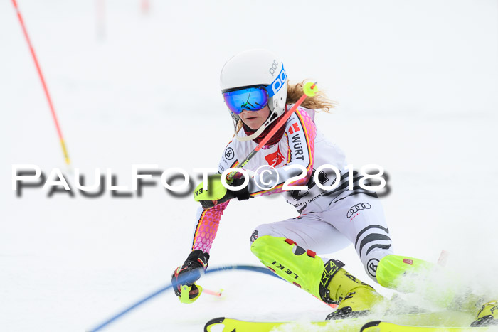 5. BZB CUP SL; WFM 2018