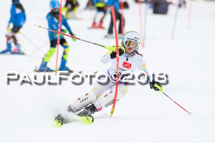 5. BZB CUP SL; WFM 2018