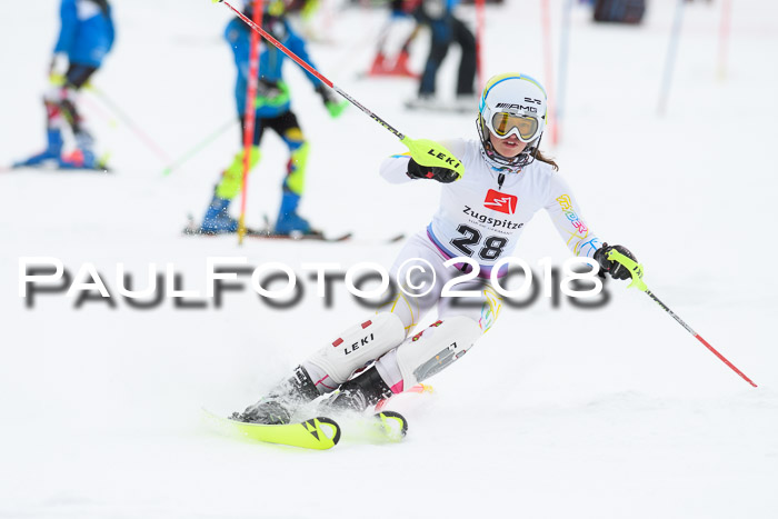 5. BZB CUP SL; WFM 2018
