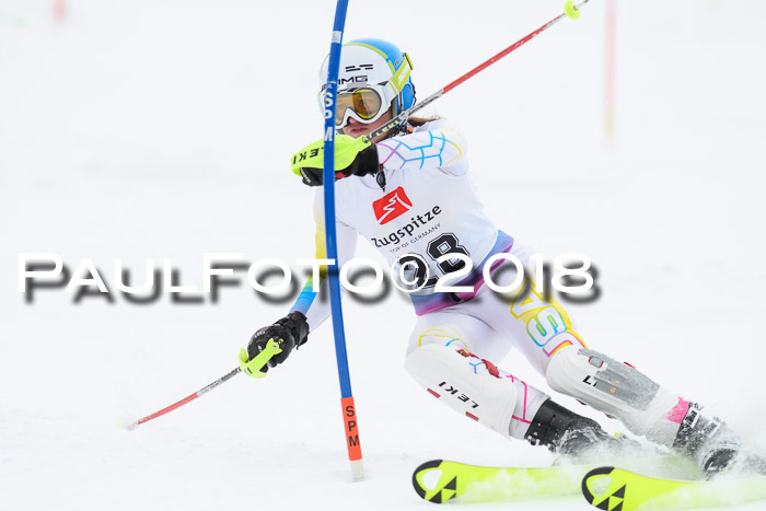 5. BZB CUP SL; WFM 2018