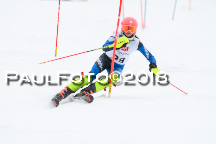 5. BZB CUP SL; WFM 2018