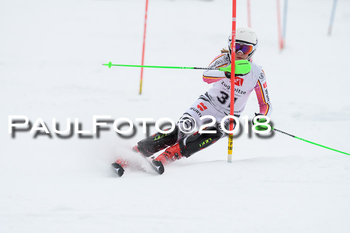 5. BZB CUP SL; WFM 2018