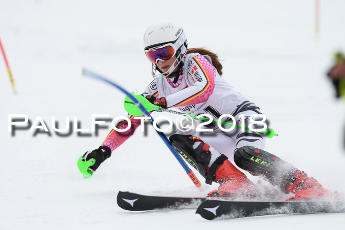 5. BZB CUP SL; WFM 2018
