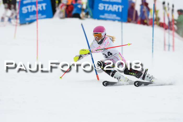 5. BZB CUP SL; WFM 2018