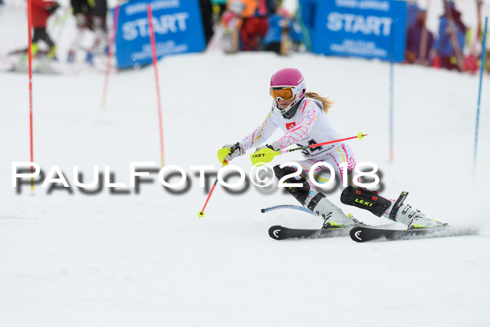 5. BZB CUP SL; WFM 2018