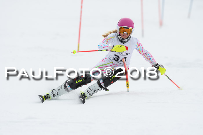 5. BZB CUP SL; WFM 2018