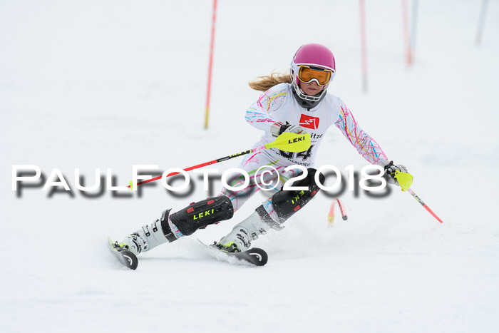 5. BZB CUP SL; WFM 2018