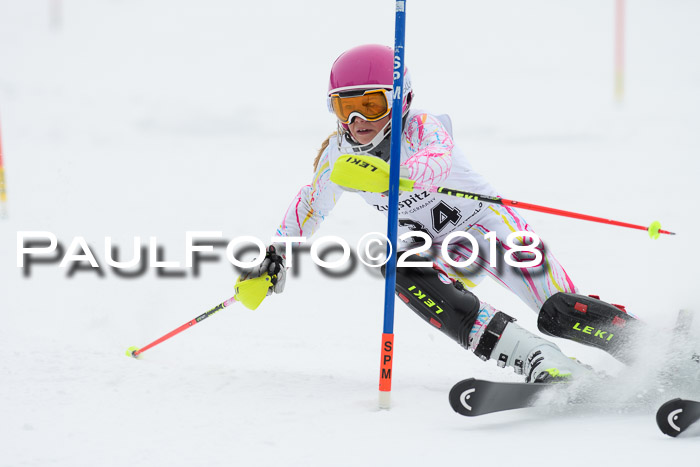 5. BZB CUP SL; WFM 2018