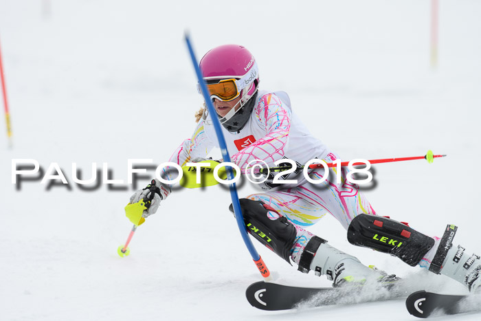 5. BZB CUP SL; WFM 2018