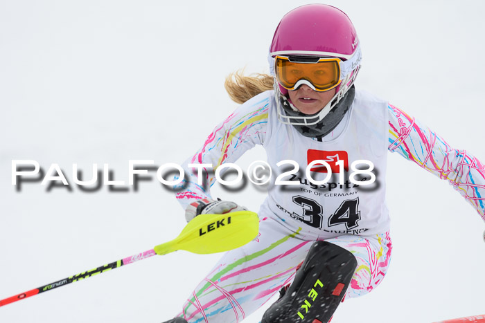 5. BZB CUP SL; WFM 2018