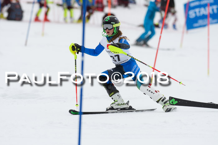 5. BZB CUP SL; WFM 2018