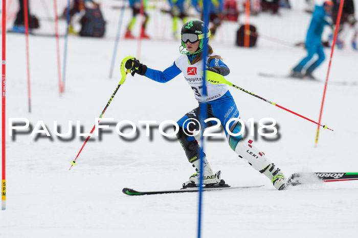 5. BZB CUP SL; WFM 2018