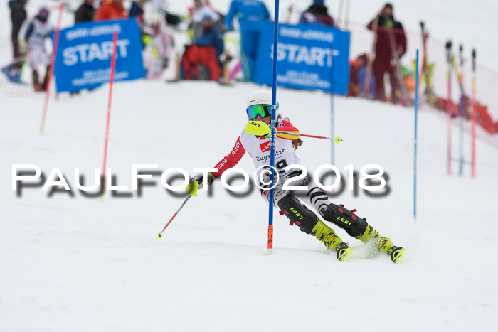 5. BZB CUP SL; WFM 2018