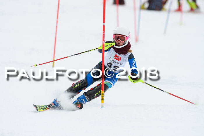 5. BZB CUP SL; WFM 2018