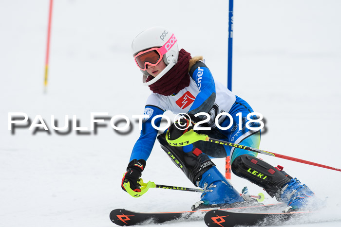 5. BZB CUP SL; WFM 2018
