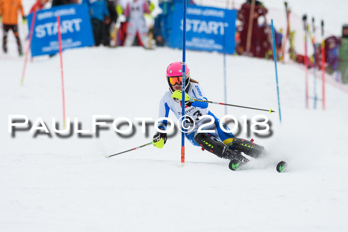 5. BZB CUP SL; WFM 2018