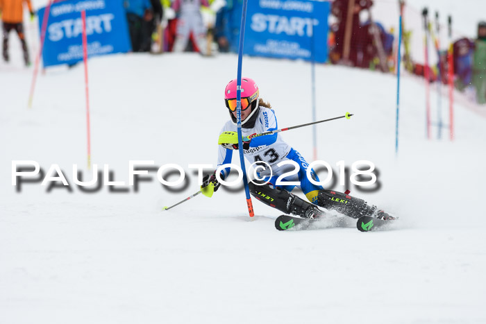 5. BZB CUP SL; WFM 2018