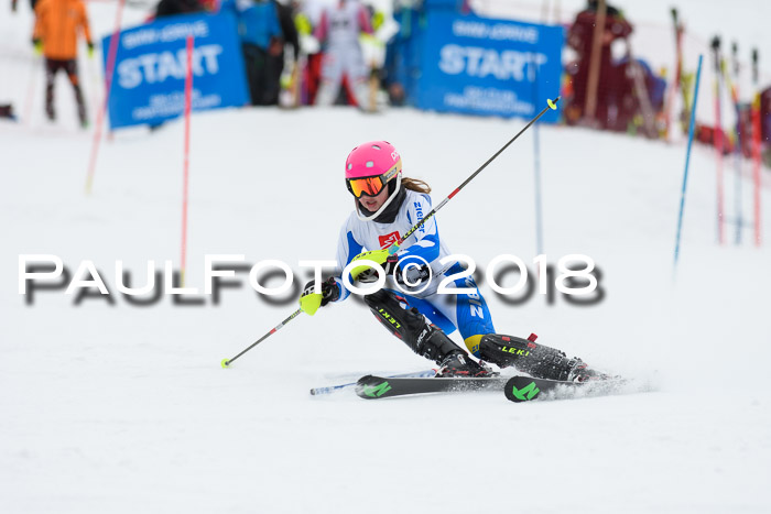 5. BZB CUP SL; WFM 2018
