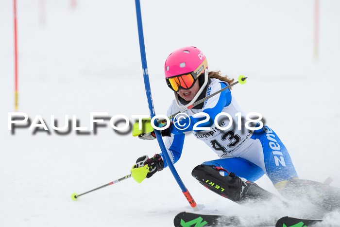 5. BZB CUP SL; WFM 2018