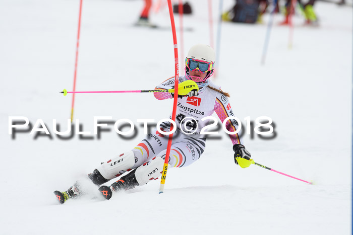 5. BZB CUP SL; WFM 2018