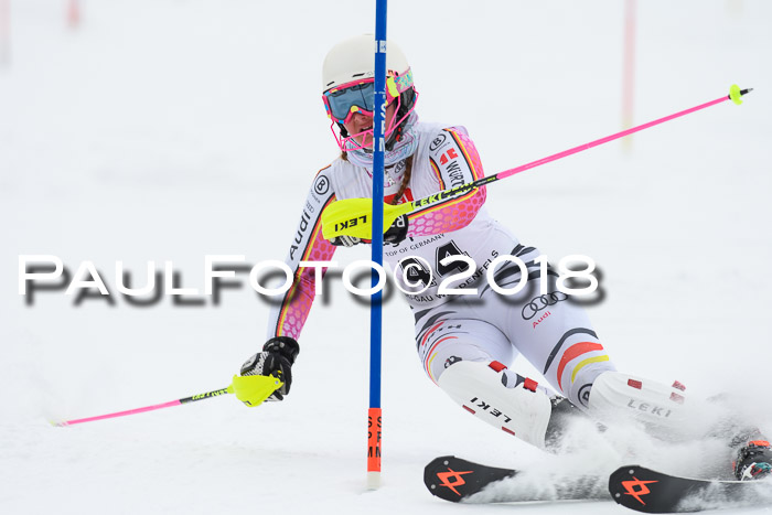 5. BZB CUP SL; WFM 2018