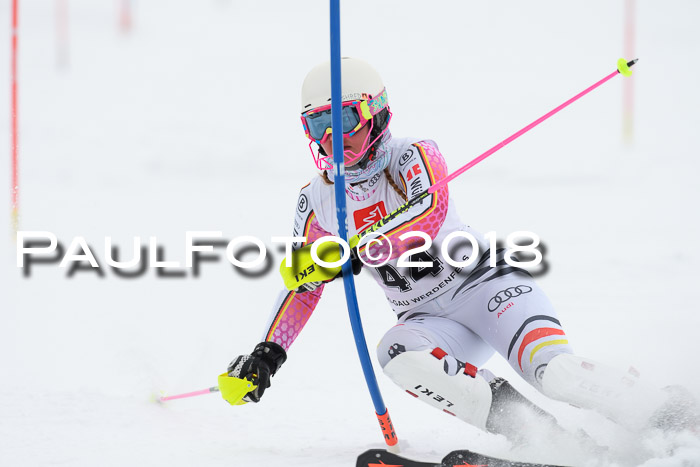 5. BZB CUP SL; WFM 2018