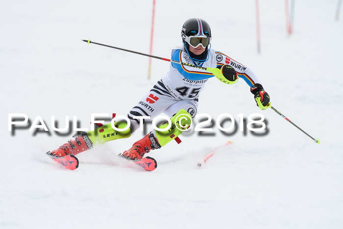 5. BZB CUP SL; WFM 2018