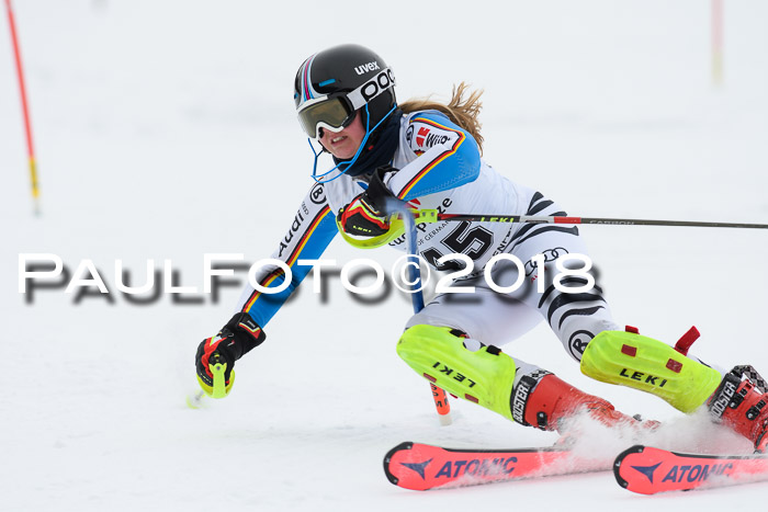 5. BZB CUP SL; WFM 2018