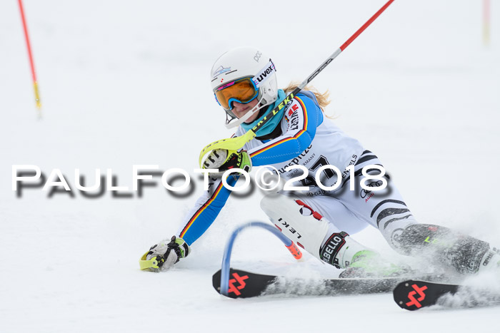 5. BZB CUP SL; WFM 2018