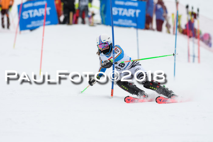 5. BZB CUP SL; WFM 2018