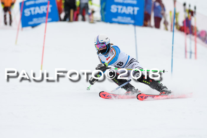5. BZB CUP SL; WFM 2018