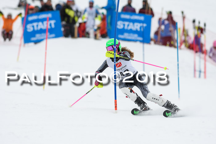 5. BZB CUP SL; WFM 2018