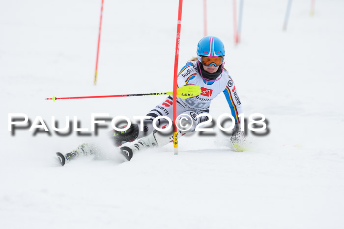 5. BZB CUP SL; WFM 2018