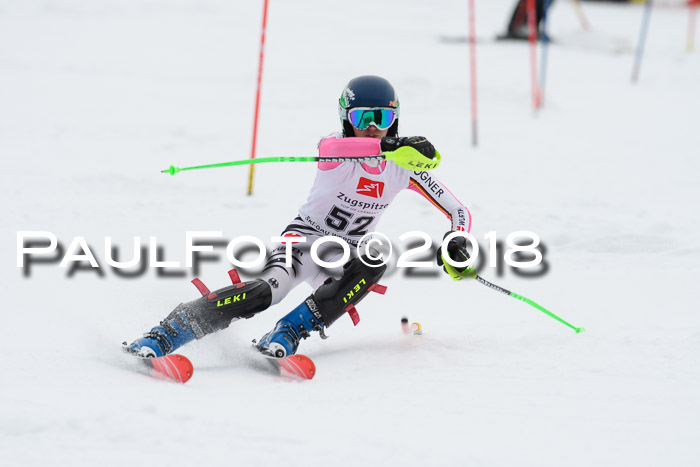 5. BZB CUP SL; WFM 2018
