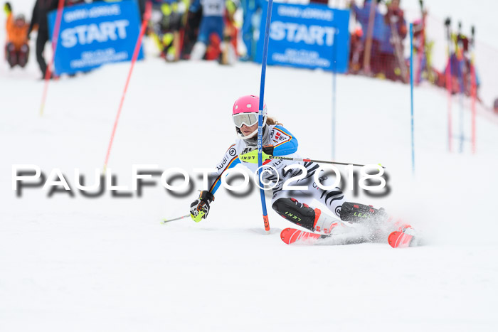 5. BZB CUP SL; WFM 2018