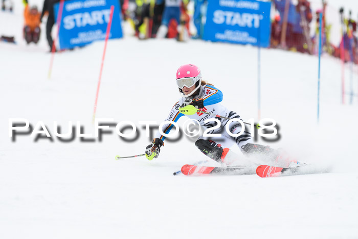 5. BZB CUP SL; WFM 2018