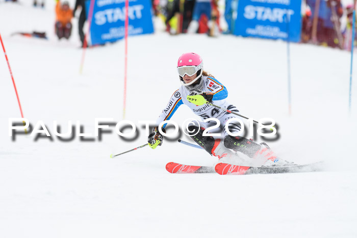 5. BZB CUP SL; WFM 2018