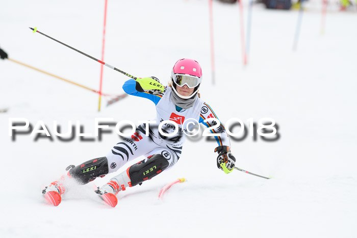 5. BZB CUP SL; WFM 2018