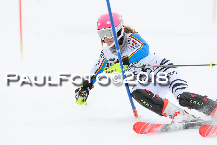 5. BZB CUP SL; WFM 2018