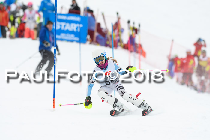 5. BZB CUP SL; WFM 2018